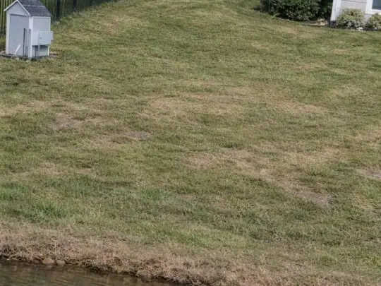 Before: sloped, patchy backyard with no usable space