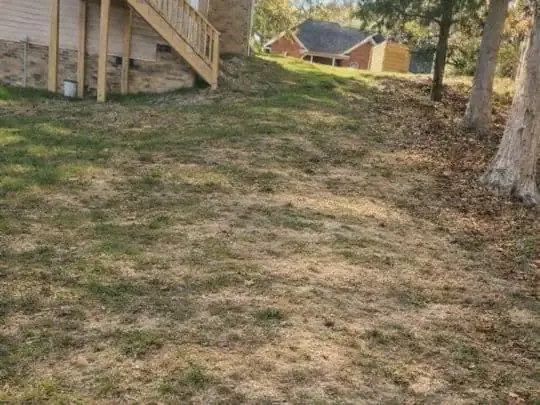 Before: bare slope behind a home before paver steps were built