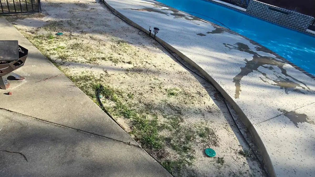 Before: bare, weedy strip beside the pool deck