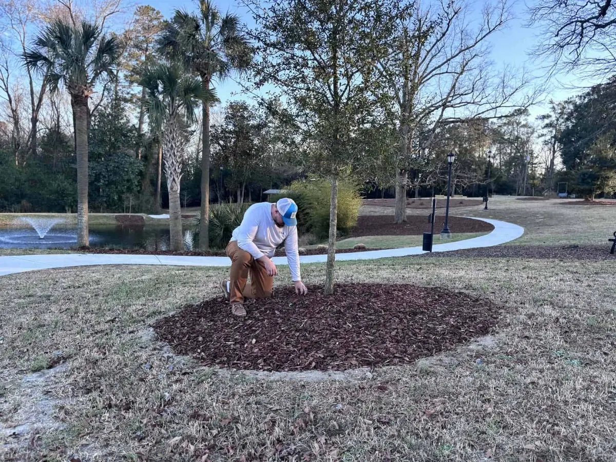H2Os crew member mulching around a newly planted tree